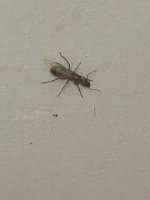 IMG_8928.jpeg