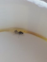 20260802_101732.jpg