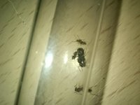 IMG_20260802_212033.jpg