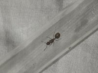 IMG_3250.jpeg