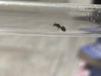 IMG_3248.jpeg