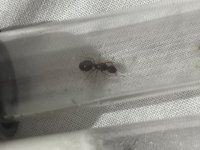 IMG_3241.jpeg