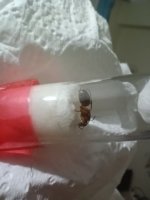 IMG_20260802_233035.jpg