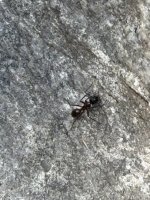 IMG_0837.jpeg