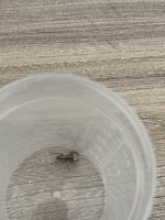 IMG_1666.jpeg