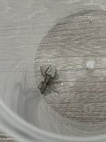 IMG_1665.jpeg