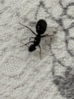IMG_2845.jpeg