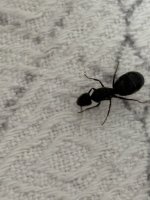 IMG_2846.jpeg