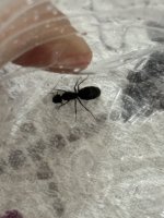 IMG_2842.jpeg
