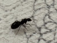 IMG_2847.jpeg