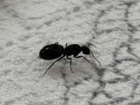 IMG_2848.jpeg