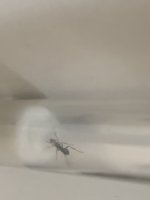 IMG_3813.jpeg