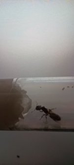 1785788298458.jpeg