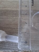 20260804_095459.jpg
