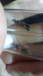 IMG_20260804_204458.jpg