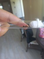 20260805_103856.jpg