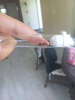 20260805_103854.jpg