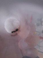 20260805_144443.jpg