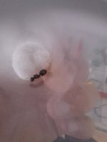20260805_144439.jpg