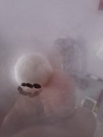 20260805_144400.jpg
