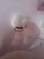 20260805_144345.jpg