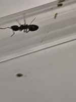 IMG_20260806_011105.jpg