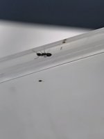 IMG_20260806_011101.jpg