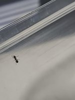 IMG_20260806_011028.jpg