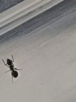 IMG_20260806_011032.jpg