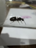 IMG_0653.jpeg