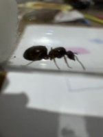 IMG_0652.jpeg