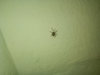 IMG_20260806_171105.jpg