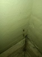 IMG_20260806_171054.jpg