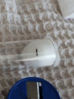 IMG_20260806_175056.jpg