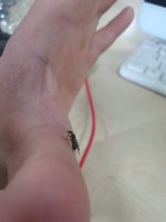 20260806_184557.jpg