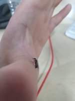 20260806_184602.jpg