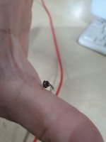 20260806_184616.jpg