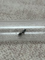 IMG_5947.jpeg