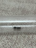 IMG_5946.jpeg