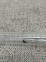 IMG_5944.jpeg
