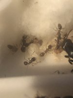 IMG_0749.jpeg