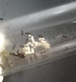20260808_123758.jpg