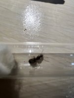 IMG_0300.jpeg