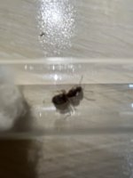 IMG_0299.jpeg
