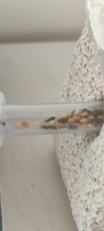 1000051942.jpg