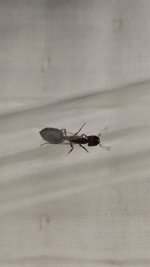 IMG_20260809_010752.jpg