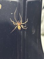 IMG_2059.jpeg