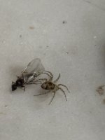 IMG_2056.jpeg