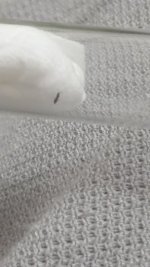 20260810_202012.jpg