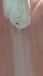 20260810_193507.jpg